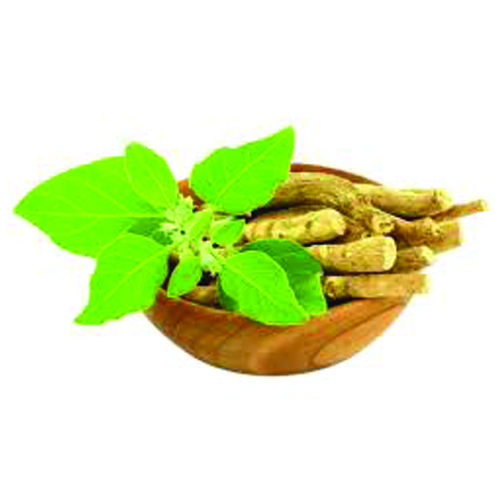 Aswagandha roots (Withania Somnifera)