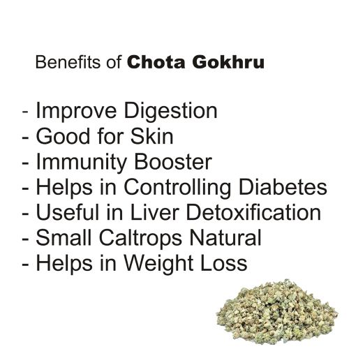 GOKHRU (CHHOTA)