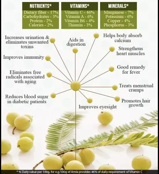 Amla, Dry Amla