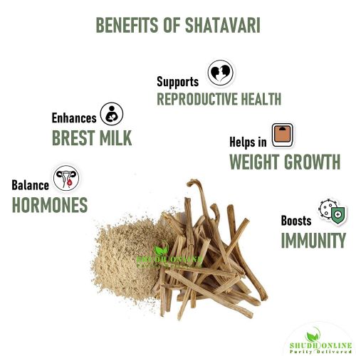 Satavari Powder