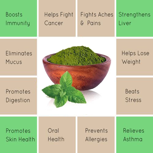 PUDINA LEAF POWDER, MINT LEAF POWDER