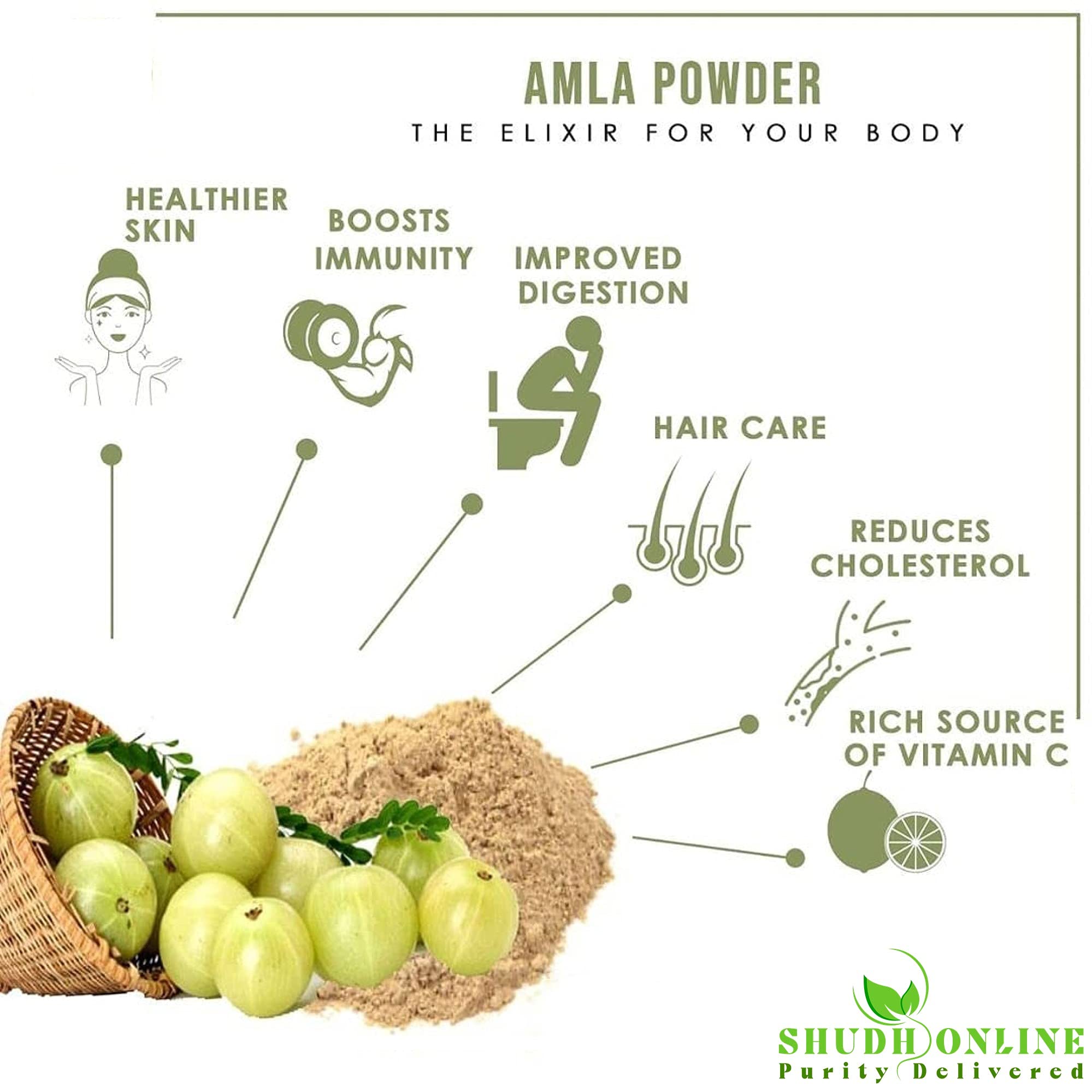 Amla Powder, Dry Amla Powder