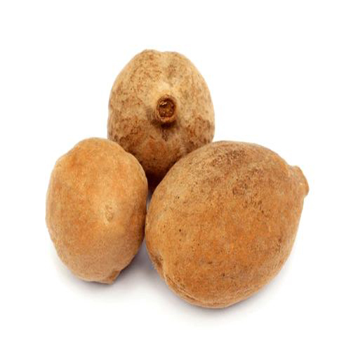Baheda Seeds, Bivitak Seeds
