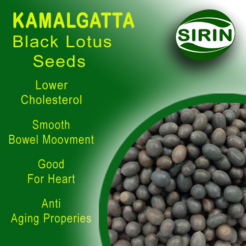 KAMALGATTA KALA