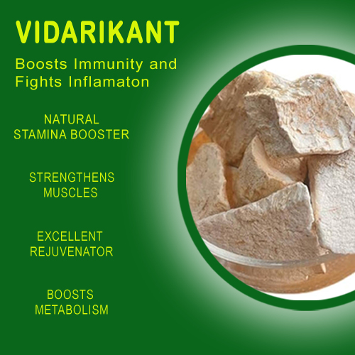 VIDARIKANT